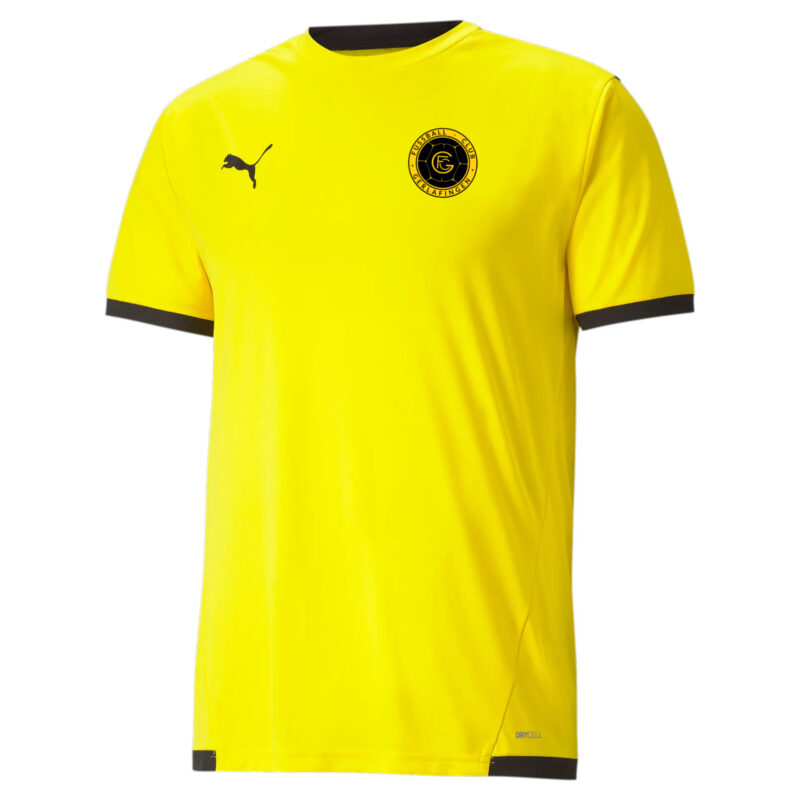 teamLIGA Shirt FC Gerlafingen