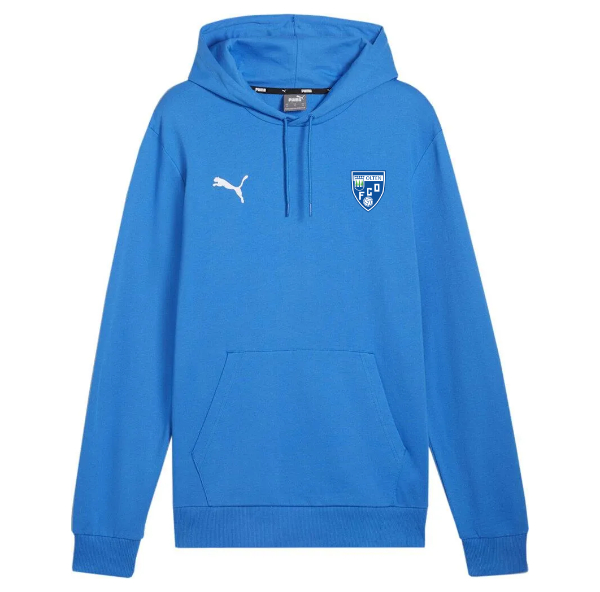 teamGOAL Casuals Hoody FC Olten